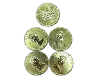 1 oz Canadian Maple Leaf Gold Coin .9999 Fine - Random Year (Abrasions/Marks)