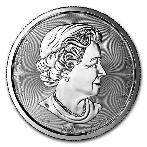 10 oz Canada Silver Coin Maple Leaf Random Year - .9999 Fine Silver - Royal Canadian Mint New Front.