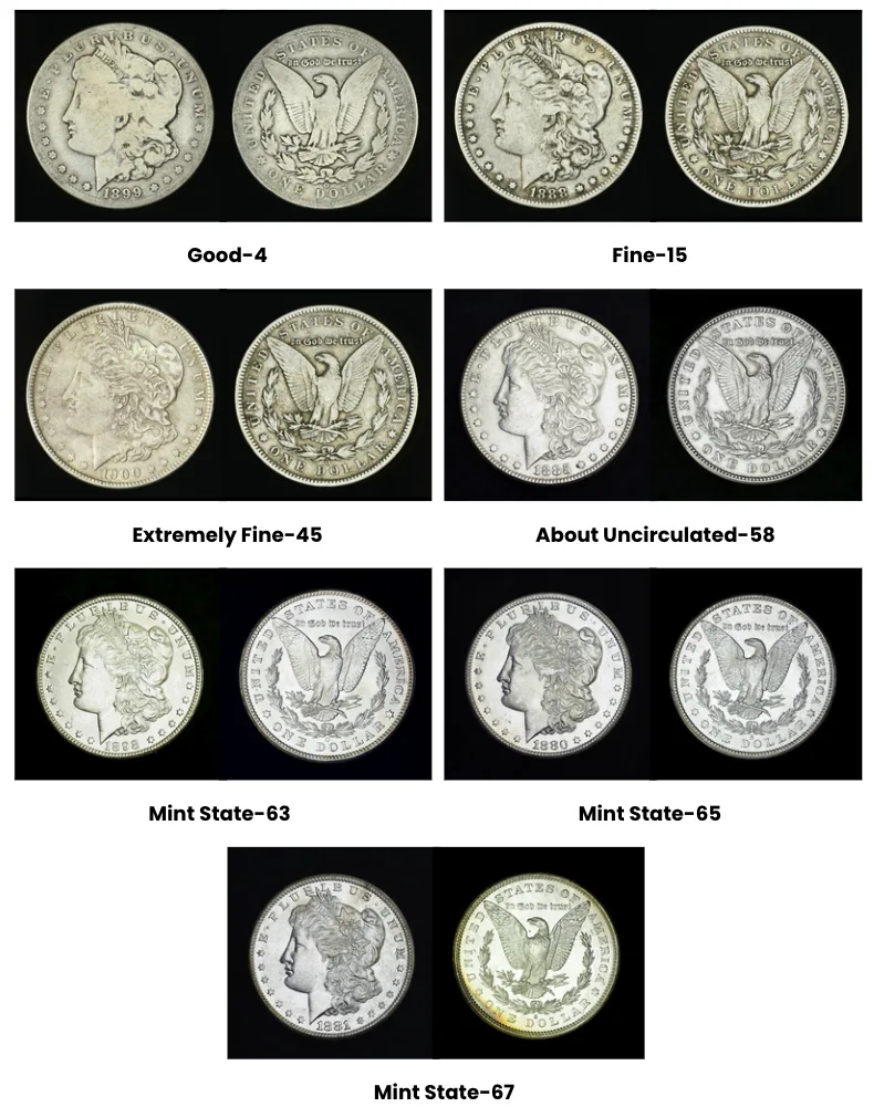 Comparison of Morgan Silver Dollars across grading levels from Good-4 to Mint State-67, showing differences in wear, luster, and detail that dramatically affect collectible coin value.