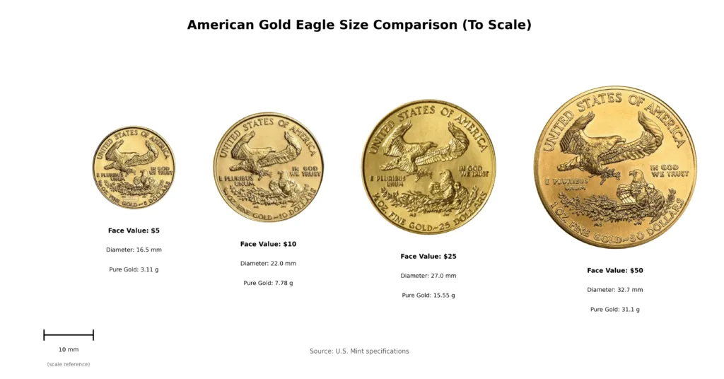Fractional gold coins comparison showing 1/10 oz, 1/4 oz, 1/2 oz, and 1 oz American Gold Eagle sizes side by side with diameter and weight specifications