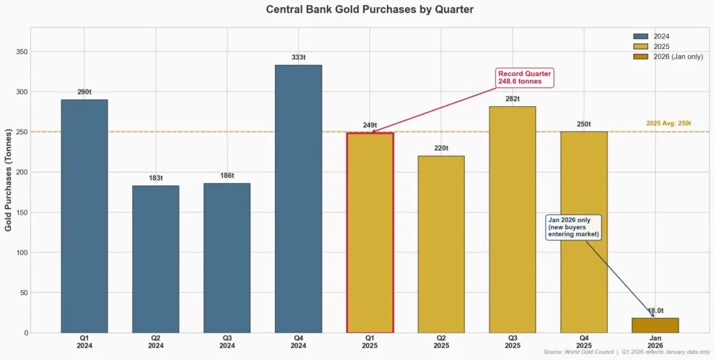 Bar chart of central bank gold purchases by quarter from 2024 to early 2026 showing sustained institutional demand with record Q1 2025 purchases of 248.6 tonnes