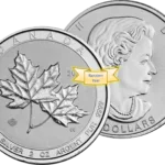 2 oz Silver Royal Canadian Maple Leaf  Coin .9999 Random Year
