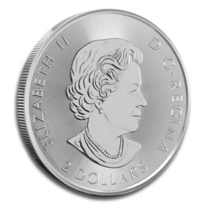 1/2 oz Canadian Polar Bear Silver Coin