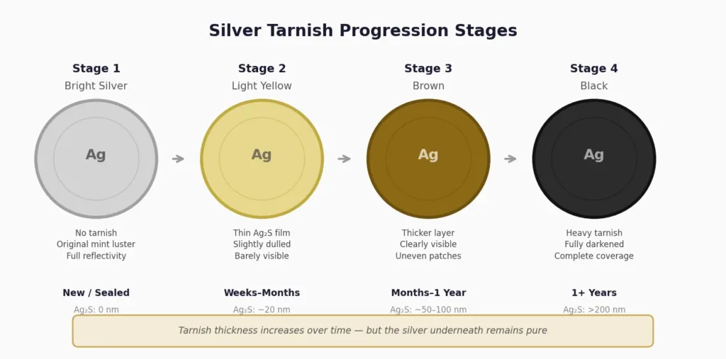 Visual comparison showing four stages of silver bullion tarnish progression from bright untarnished silver through light yellow to brown and finally black heavy tarnish