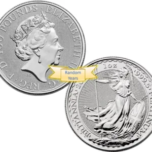 1 Oz Platinum British Britannia Coin Random Year